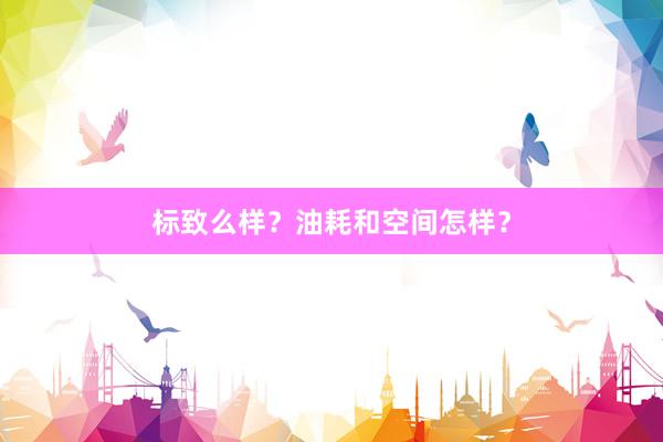 标致么样？油耗和空间怎样？