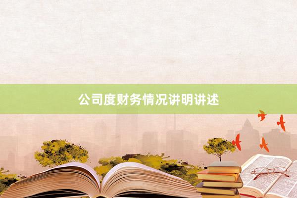 公司度财务情况讲明讲述